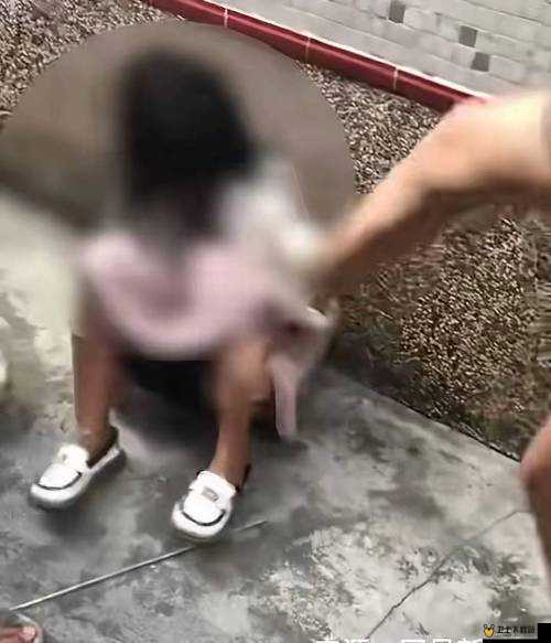 女子叉开腿让男子桶免费软件：引发争议的独特现象