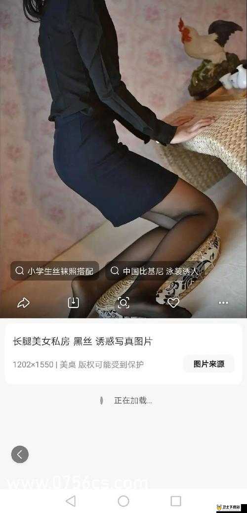 桃子冷狐纸巾盒小熊：给生活带来温馨与便利的奇妙组合