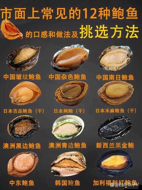 粉鲍 多水：一种独特的食材，口感鲜美，营养丰富