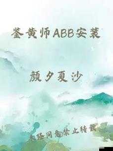 鉴黄师 ABB 安装正版免费：助力网络健康纯净