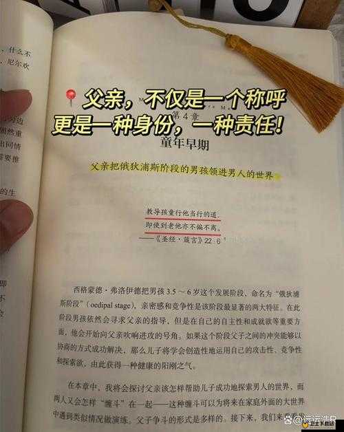 壮父与稚女 H 间那特殊且引人深思的关系故事